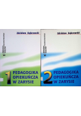 Pedagogika opiekuńcza w zarysie Tom 1 i 2