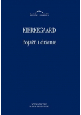 Bojaźń i drżenie