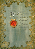 Brzegi stolica śląskich Piastów