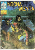 Nocna Wizyta