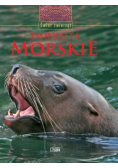Zwierzęta morskie