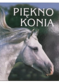 Piękno konia