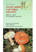 Grzyby jadalne i ich trujące sobowtóry