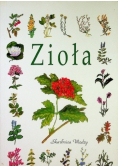 Zioła
