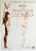 Zarys Anatomii Człowieka