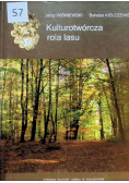 Kulturotwórcza rola lasu