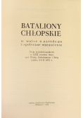 Bataliony chłopskie w walce o narodowe i społeczne wyzwolenie