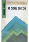 W cieniu śnieżki