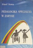 Pedagogika specjalna w zarysie