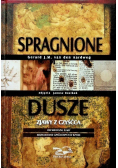 Spragnione dusze. Zjawy z czyśćca.