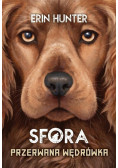 Sfora Tom 4 Przerwana wędrówka