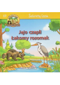 Sekrety lasu Jajo czapli Łakomy rosomak