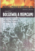 Między Bolszewią a Niemcami