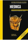 Anatomia prawidłowa człowieka Miednica Podręcznik dla studentów i lekarzy