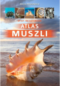 Atlas muszli