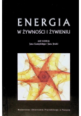 Energia w żywności i żywieniu
