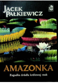 Amazonka. Zagadka źródła królowej rzek