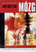 Jak uczy się mózg