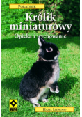 Królik miniaturowy opieka i wychowanie