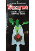 Warzywa wszystko o uprawie warzyw na działce