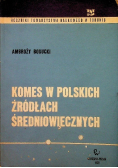 Komes w polskich źródłach średniowiecznych
