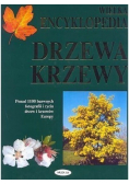 Wielka encyklopedia Drzewa i krzewy