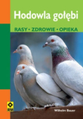 Hodowla gołębi