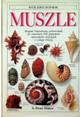 Kolekcjoner muszle