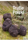 Trufle Polski