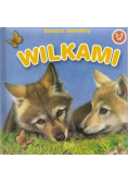 Zobacz! Jesteśmy Wilkami
