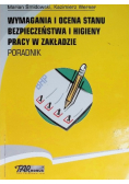 Wymagania i ocena stanu bezpieczeństwa i higiena pracy w zakładzie