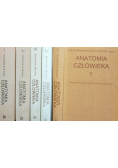 Anatomia człowieka Tom I do V