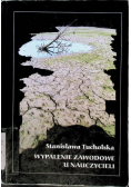 Wypalenie zawodowe u nauczycieli