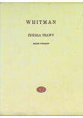 Źdźbła trawy