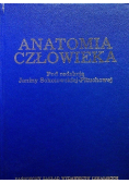 Anatomia człowieka