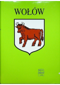 Wołów zarys monografii miasta