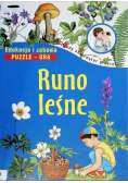 Runo leśne