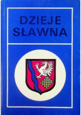 Dzieje sławna