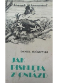 Jak pisklęta z gniazd