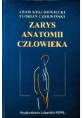 Zarys anatomii człowieka