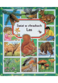 Świat w obrazkach Las