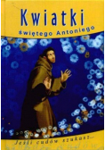 Kwiaty świętego Antoniego