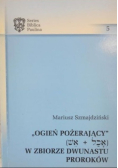 Ogień pożerający W zbiorze dwunastu proroków