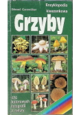 Encyklopedia kieszonkowa Grzyby