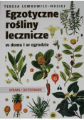 Egzotyczne rośliny lecznicze