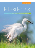 Encyklopedia ilustrowana Ptaki Polski