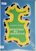 Spacerki po Olsztynie