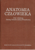 Anatomia człowieka