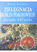 Pielęgnacja roślin pokojowych-początku XXI wieku