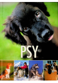 Psy